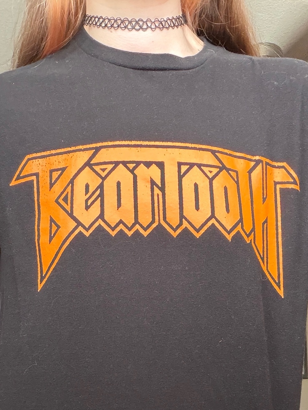 🐍 Beartooth Tee - Picture 4 of 5